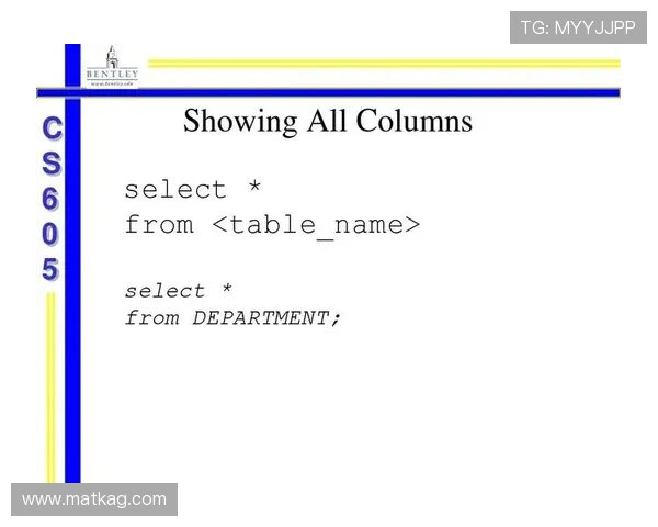 ag备用官网全站登录技术保障措施,确保平台稳定运行与用户信息安全无忧 ag备用官网全站登录技术保障措施,确保平台稳定运行与用户信息安全无忧