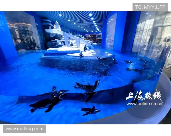 PA真人网汇聚优质真人主播资源,享受沉浸式互动体验新体验 PA真人网汇聚优质真人主播资源,享受沉浸式互动体验新体验